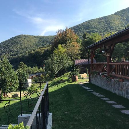 La Butuci Ξενοδοχείο Tîrgu Ocna Εξωτερικό φωτογραφία