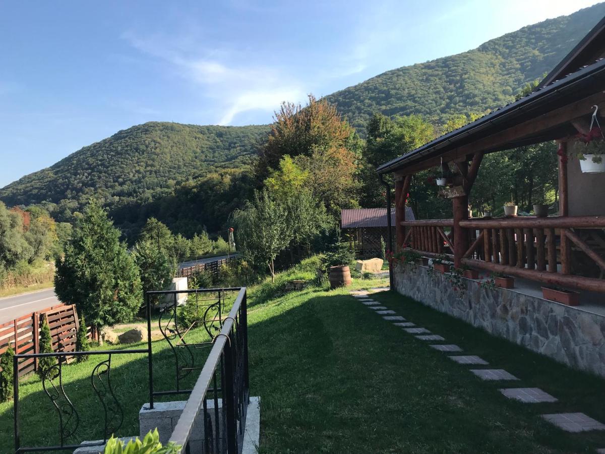La Butuci Ξενοδοχείο Tîrgu Ocna Εξωτερικό φωτογραφία