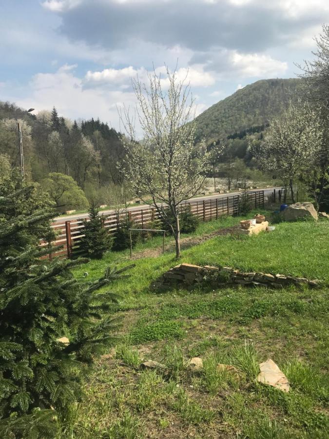 La Butuci Ξενοδοχείο Tîrgu Ocna Εξωτερικό φωτογραφία